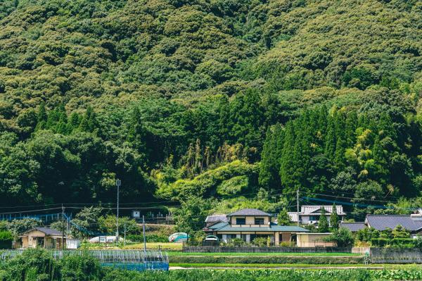 白髪山の写真