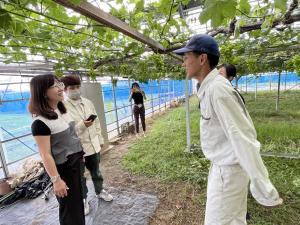 鹿本農業高校農場見学