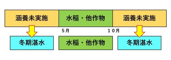 湛水説明図